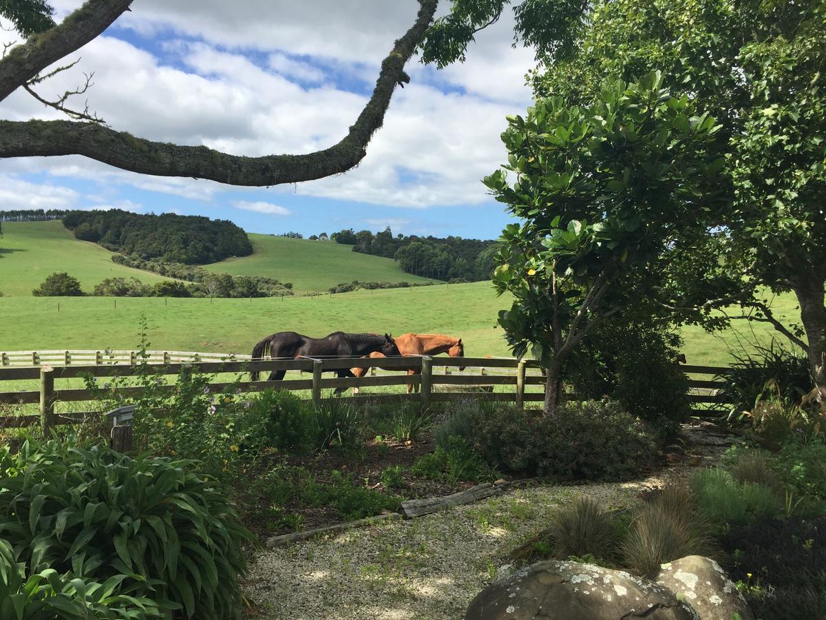Quail Lodge Nz Snells Beach Exterior photo